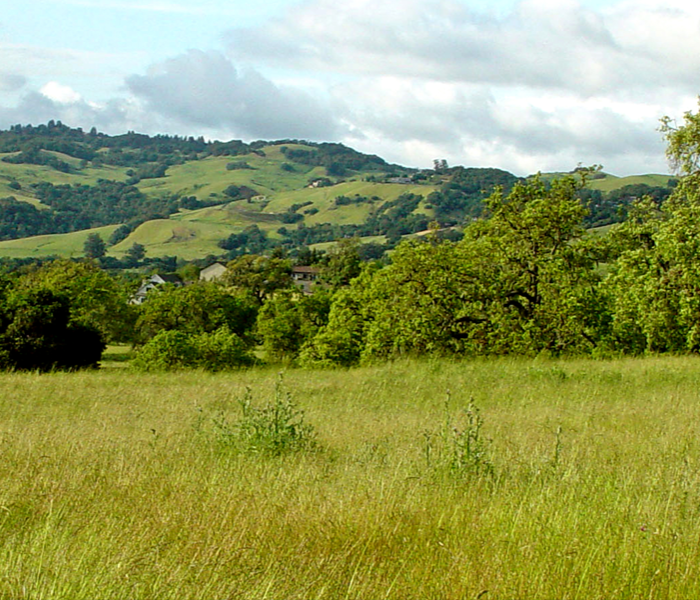 View of a mountain.