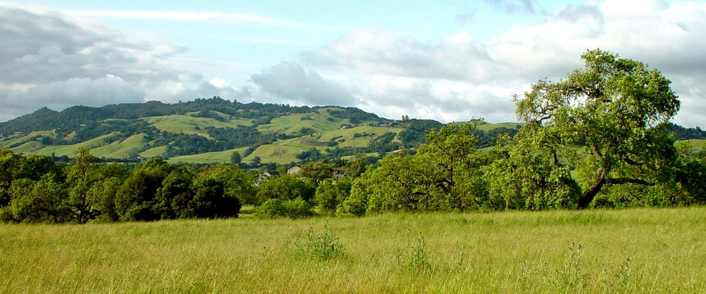 Sonoma hills, grassy field, and blue sky with clouds