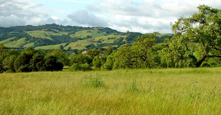 View of a mountain.